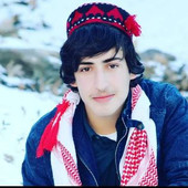 Hameed