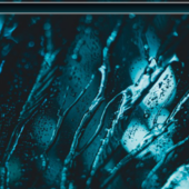 cellular_26