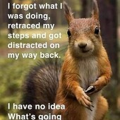Rebeltrucker