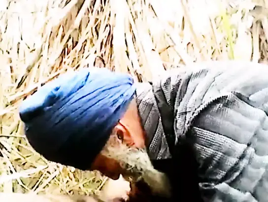 Older Indian Grandfather with facial hair takes on a thick cumbot no condom & gets a mouthhole of spunk