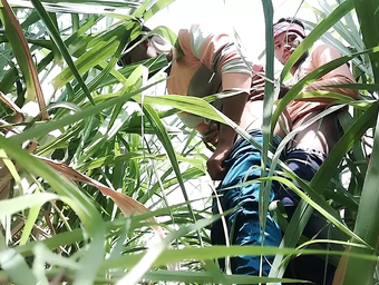 Watch this Indian Desi Guy Come Outdoors & Get Married to Sugar cane, Muscle, and Woods in Homosexual Flick - Two!
